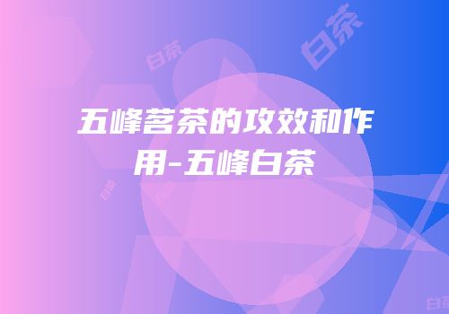 五峰茗茶的攻效和作用-五峰白茶