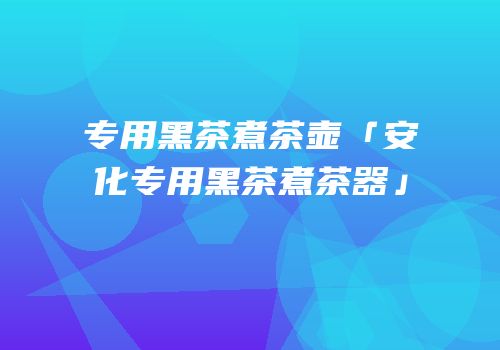 专用黑茶煮茶壶「安化专用黑茶煮茶器」