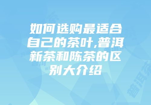 如何选购最适合自己的茶叶,普洱新茶和陈茶的区别大介绍