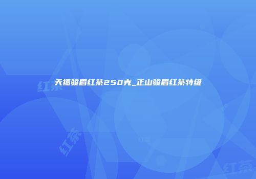 天福骏眉红茶250克_正山骏眉红茶特级