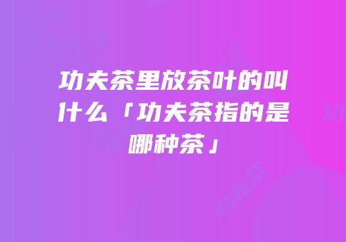 功夫茶里放茶叶的叫什么「功夫茶指的是哪种茶」