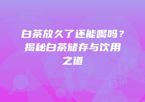 白茶放久了还能喝吗？揭秘白茶储存与饮用之道