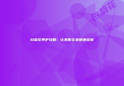 白菊花养护攻略：让美丽花朵健康绽放