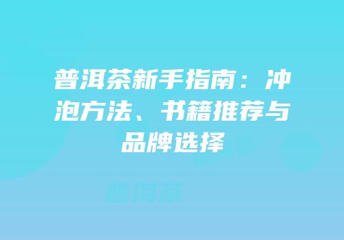 普洱茶新手指南：冲泡方法、书籍推荐与品牌选择