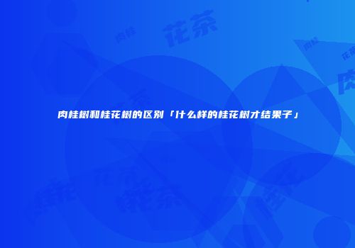 肉桂树和桂花树的区别「什么样的桂花树才结果子」