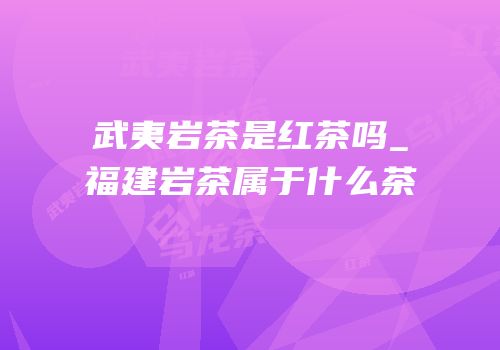 武夷岩茶是红茶吗_福建岩茶属于什么茶