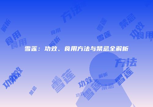 雪莲：功效、食用方法与禁忌全解析