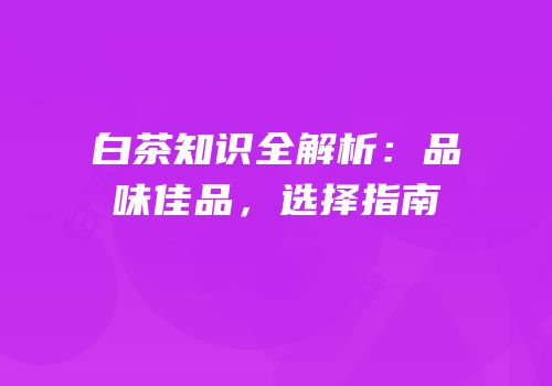 白茶知识全解析：品味佳品，选择指南