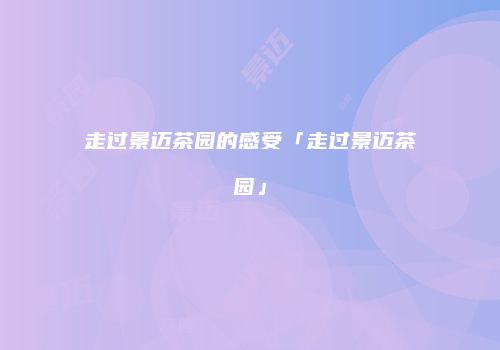 走过景迈茶园的感受「走过景迈茶园」