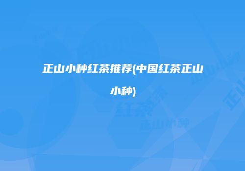 正山小种红茶推荐(中国红茶正山小种)