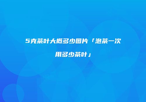 5克茶叶大概多少图片「泡茶一次用多少茶叶」