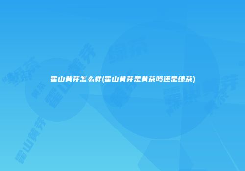 霍山黄芽怎么样(霍山黄芽是黄茶吗还是绿茶)