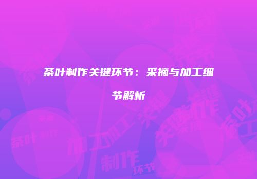 茶叶制作关键环节：采摘与加工细节解析