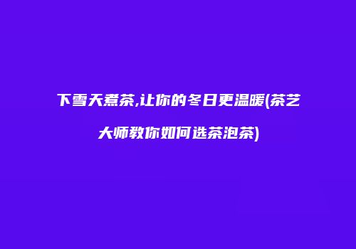 下雪天煮茶,让你的冬日更温暖(茶艺大师教你如何选茶泡茶)
