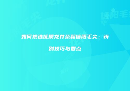 如何挑选优质龙井茶和信阳毛尖：辨别技巧与要点