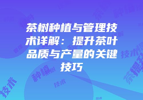 茶树种植与管理技术详解：提升茶叶品质与产量的关键技巧