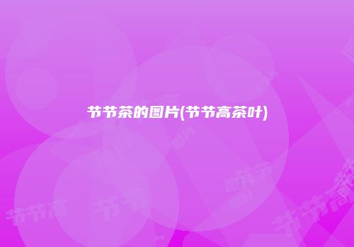 节节茶的图片(节节高茶叶)