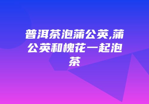 普洱茶泡蒲公英,蒲公英和槐花一起泡茶