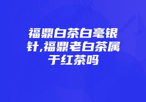 福鼎白茶白毫银针,福鼎老白茶属于红茶吗