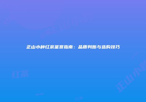 正山小种红茶鉴赏指南：品质判断与选购技巧