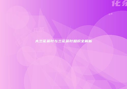 大兰花茶叶与兰花茶叶知识全解析