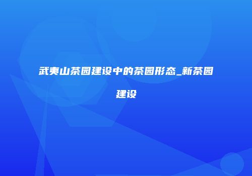 武夷山茶园建设中的茶园形态_新茶园建设