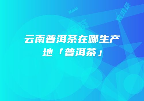 云南普洱茶在哪生产地「普洱茶」