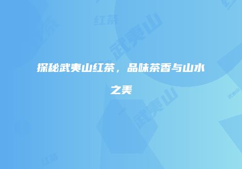 探秘武夷山红茶，品味茶香与山水之美