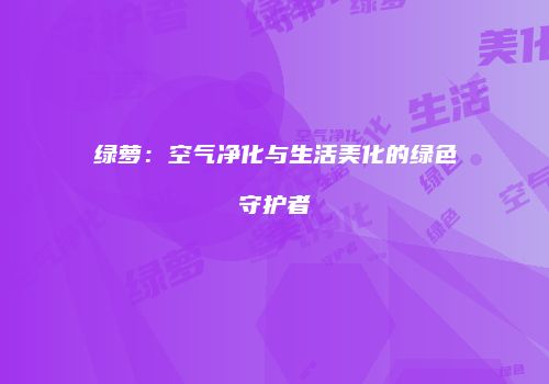 绿萝：空气净化与生活美化的绿色守护者