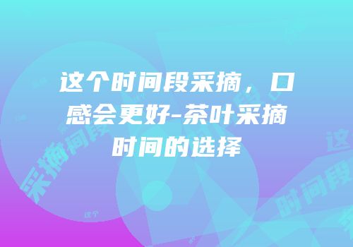 这个时间段采摘，口感会更好-茶叶采摘时间的选择