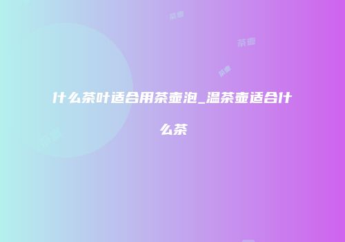 什么茶叶适合用茶壶泡_温茶壶适合什么茶