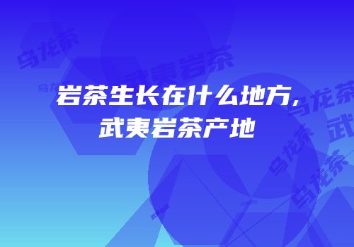 岩茶生长在什么地方,武夷岩茶产地