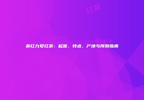 英红九号红茶：起源、特点、产地与辨别指南