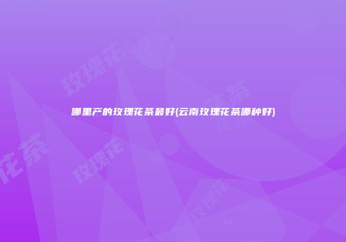 哪里产的玫瑰花茶最好(云南玫瑰花茶哪种好)