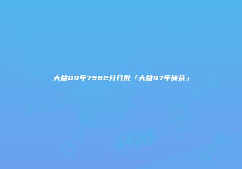 大益09年7562分几批「大益97年砖茶」