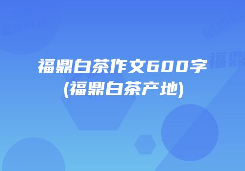 福鼎白茶作文600字(福鼎白茶产地)