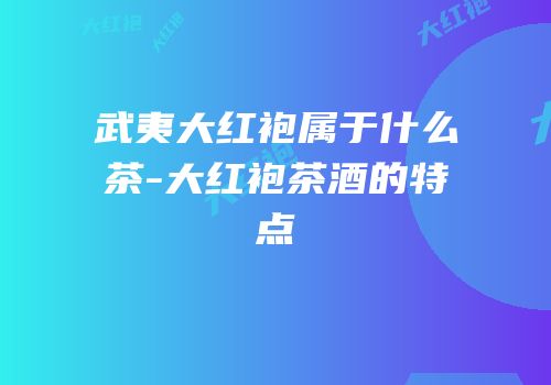 武夷大红袍属于什么茶-大红袍茶酒的特点