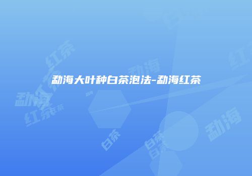 勐海大叶种白茶泡法-勐海红茶