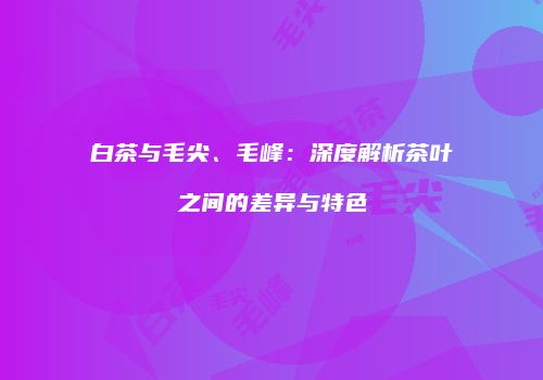 白茶与毛尖、毛峰：深度解析茶叶之间的差异与特色