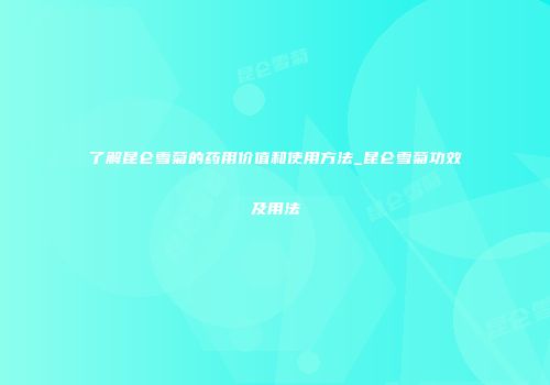 了解昆仑雪菊的药用价值和使用方法_昆仑雪菊功效及用法