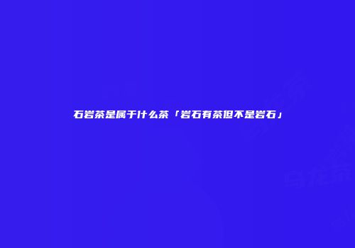 石岩茶是属于什么茶「岩石有茶但不是岩石」