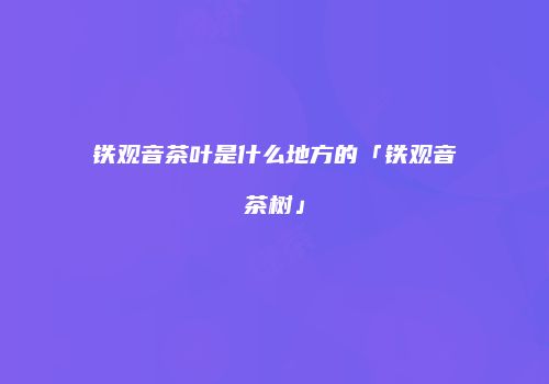 铁观音茶叶是什么地方的「铁观音茶树」