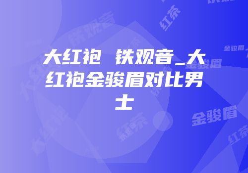 大红袍 铁观音_大红袍金骏眉对比男士