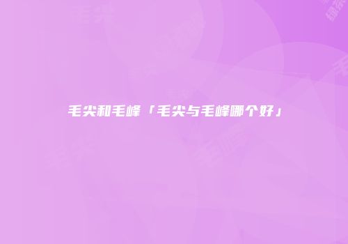 毛尖和毛峰「毛尖与毛峰哪个好」
