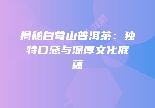 揭秘白莺山普洱茶：独特口感与深厚文化底蕴