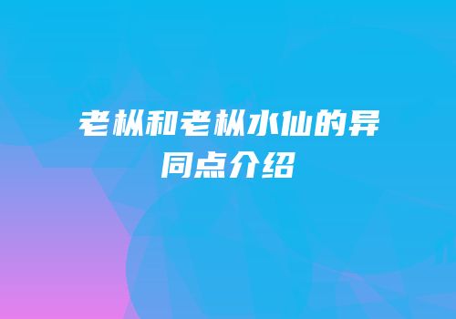 老枞和老枞水仙的异同点介绍