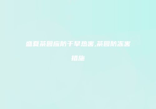 盛夏茶园应防干旱热害,茶园防冻害措施
