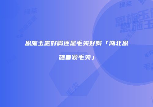 恩施玉露好喝还是毛尖好喝「湖北恩施首领毛尖」
