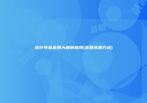 茶叶可以采用大棚种植吗(茶园搭棚方法)