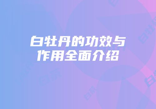 白牡丹的功效与作用全面介绍